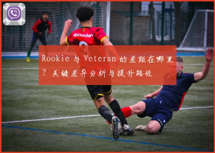Rookie 与 Veteran 的差距在哪里？关键差异分析与提升路径